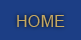 bhis home menu button